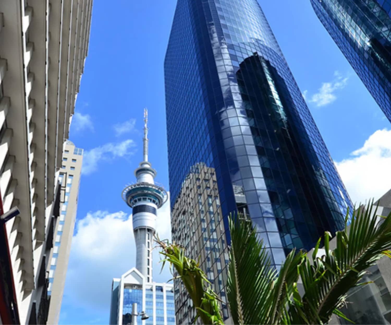 Business insurance broker - Auckland businesses with proper insurance.