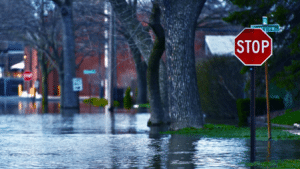 Kiwi streets flooded following the rise of climate change.